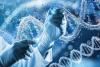 Abu Dhabi's DoH, Boehringer Ingelheim partner to advance research into genetic drivers of diseases