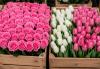 Armenia plans to increase agricultural and flower exports to the US and establish transit through Turkey