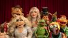K-dramas, Muppets, comedies and Brit crime hits: Here are 15 hidden TV gems well worth bingeing