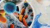 Turkish scientists pioneer search for next-gen antibiotics