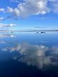 The sea is returning to the center of the Portuguese economy