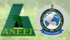 Nigeria Loses Up To $17.8bn Yearly To Illicit Financial Flows, ANEEJ Warns