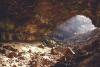 Portuguese team discovers prehistoric DNA in rock art