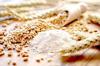 Cameroon Unveils CFA30.9 Billion Plan to Build a Domestic Wheat Industry