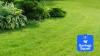 Gardeners urged not to make this mistake with their grass clippings: Here’s why you shouldn’t throw them away