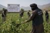 UNODC reaffirms support for Afghanistan in drug control efforts