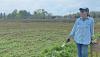 Harmony Grows works to reduce food insecurity through local agriculture