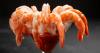 If You Eat Shrimp To Boost Your Health, There's Something You Need To Know