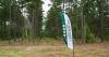 South Carolina celebrates its newest state forest