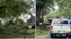 Georgia town transformed in hours after severe storm topples its oldest trees