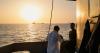 Oil on track for sharp weekly loss as Strait of Hormuz traffic improves