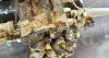Oregon races to contain destructive mussel discovered in state for first time