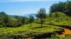 San Marino's prettiest hilltop gardens: A list