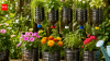 How to reuse plastic bottles for gardening: 8 clever DIY ideas to save money and reduce waste at home
