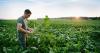 What if the U.S. stops producing sugarbeets?