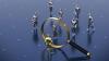 Identifying Government Leaders Who Will Succeed in Corporate Security