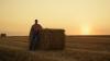 NI farmers lauded for food production in extreme heat