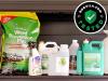 The Best Weed Killers We Tested for Fast, Reliable Results
