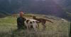 Technology has changed hunting and fishing, but don't forget friends