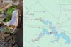 These Are the Most Snake-Filled Lakes in Louisiana