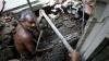Venezuela Earthquakes: How to provide aid and relief if you are in the US