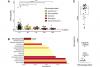 New Study Finds Alarmingly Low Genetic Diversity in Philippine Eagle