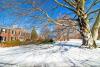Bronx gardens adapt to unpredictable weather as climate change alters growing seasons