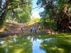Against the Current: A Mexican Town Reclaims Its River
