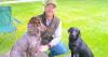 Swedish immigrant has gone to the dogs via his 'Stenkil Gundogs' business