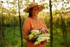 FAOSTAT dataset seeks to defend women's key role in global agrifood systems