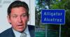 Ron DeSantis Pulls The Plug On Florida's 'Alligator Alcatraz' Immigration Facility