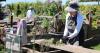 WSU Skagit County Master Gardeners Discovery Garden's 30th anniversary to be celebrated