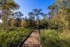Best Louisiana hiking trails to explore