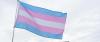 Virginia School District Sued Over Concealing Student ‘Gender Transitions’ From Parents