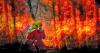 Minnesota DNR shares tips for wildfire prevention