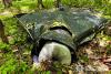 Ukraine Believes Russian Drone Signal Repeaters in Belarus Were Disabled