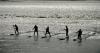 Anchorage man’s death surfing Turnagain Arm bore tide highlights rescue challenges