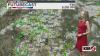 Rain and storms possible but not as expansive Friday in New Mexico
