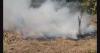 Ghana farmers’ burning practices fuel growing air pollution and environmental crises