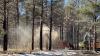 New Mexico’s plan to reduce wildfire risk currently ‘nowhere near enough’