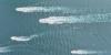 Michigan boaters urged to help prevent spread of invasive species