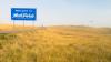 Nobody Wants To Retire In North Dakota. Maybe That’s Exactly Why You Should.