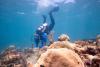 Tourism funding helps rebuild Florida Keys reefs after historic marine heatwave
