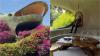 Step inside the 'Teletubbies-coded' peanut-shaped home in Mexico with no straight walls and cave-like interiors. Watch