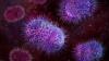 Scientists infected a 'vagina on a chip' with gonorrhea — then cured it with a new antibiotic found by AI