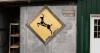 New York finalizes new deer hunting regulations with fraud prevention measures