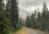 Montana Viewpoint: Taking the wrong road