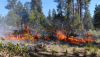 Oregon PUC Approves Utility Wildfire Mitigation Plans