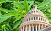Congress Revives SAFE Banking Bill For Cannabis Businesses