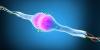 Scientists Are Attempting to Reprogram Old Human Cells to Be Young Again